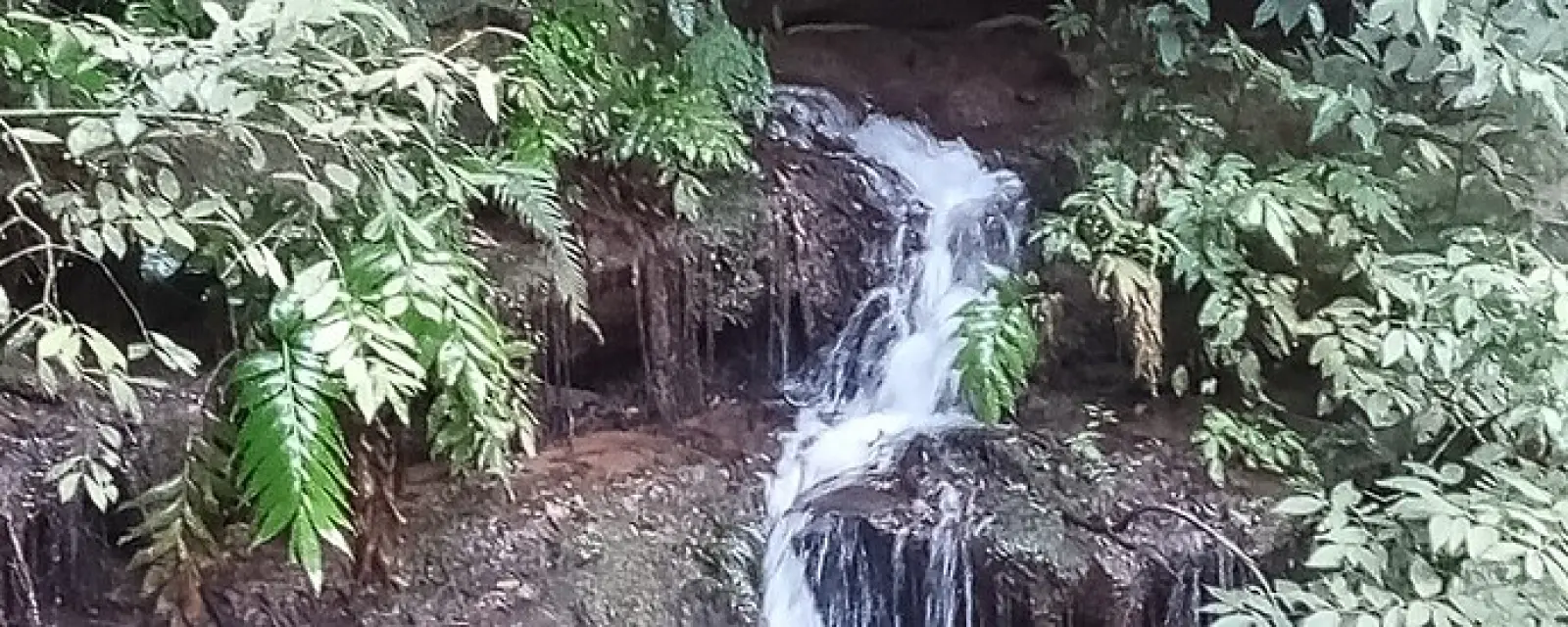 Brazil — ảnh minh hoạ cho bài Brazil — nền kinh tế lớn nhất Nam Mỹ, đường tới quốc tịch tương đối ngắn