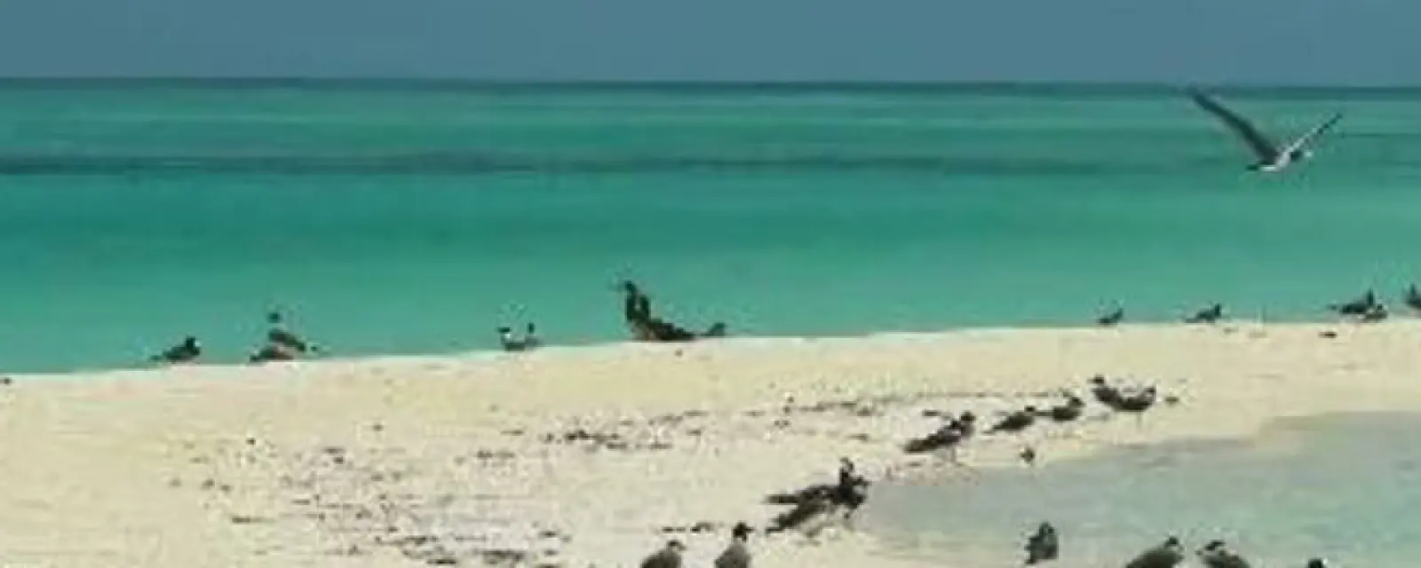 Eritrea — ảnh minh hoạ cho bài Eritrea — Một trong số rất ít nước đánh thuế công dân theo QUỐC TỊCH, dù họ sống ở đâu