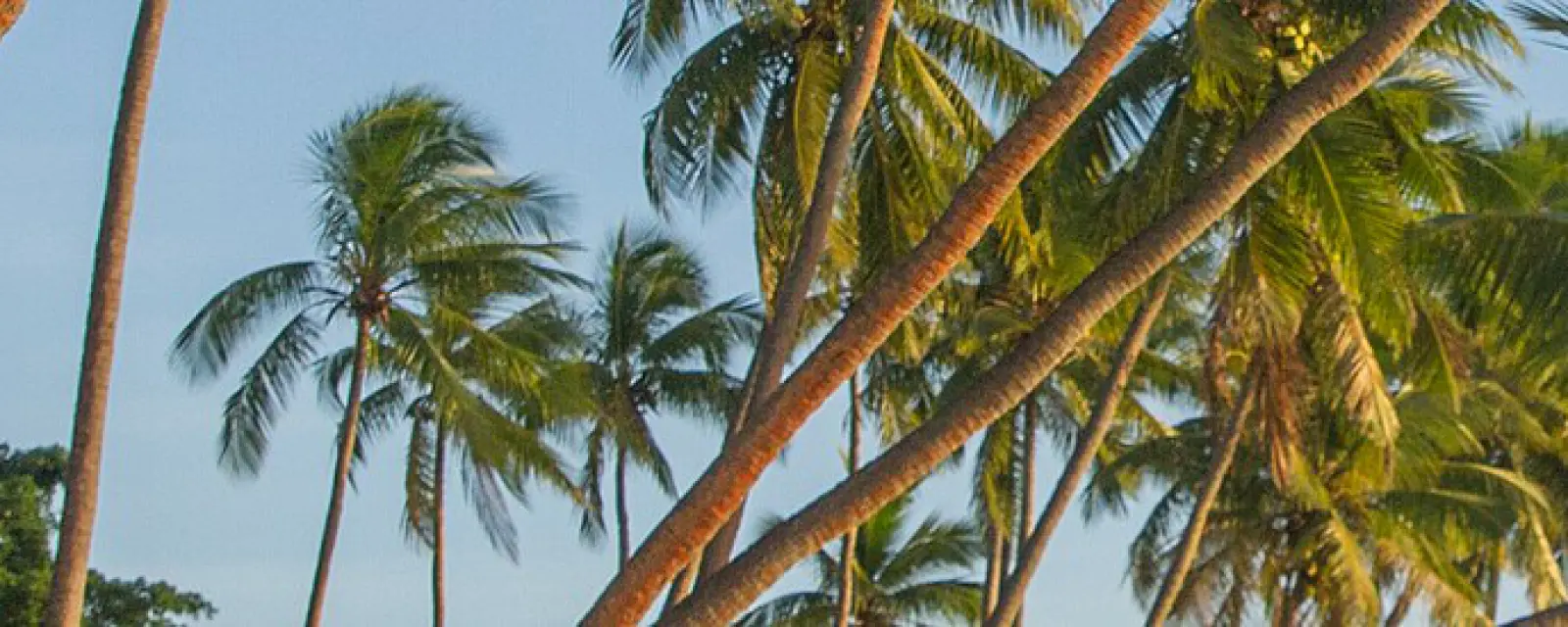 Fiji — ảnh minh hoạ cho bài Fiji — tiếng Anh, luật Anh, và một chỗ đặt chân ở Nam Thái Bình Dương