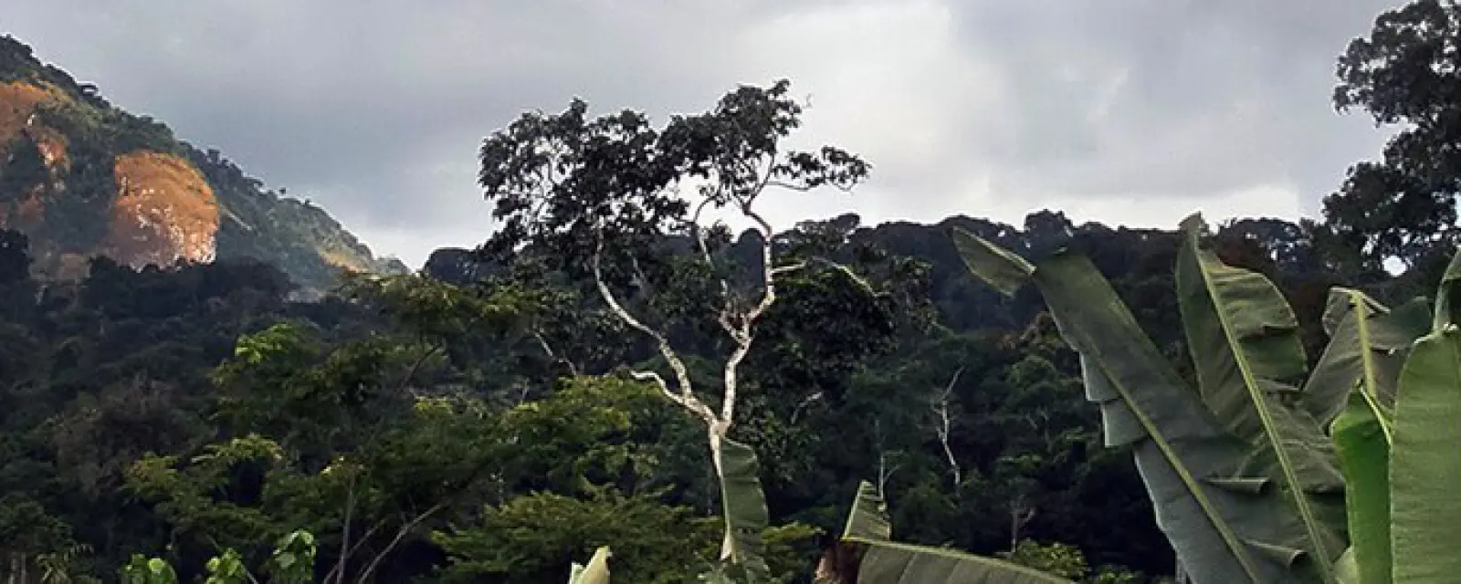 Guinea Xích Đạo — ảnh minh hoạ cho bài Guinea Xích Đạo — Nước duy nhất ở châu Phi nói tiếng Tây Ban Nha, và khoảng cách lớn nhất giữa GDP và đời sống