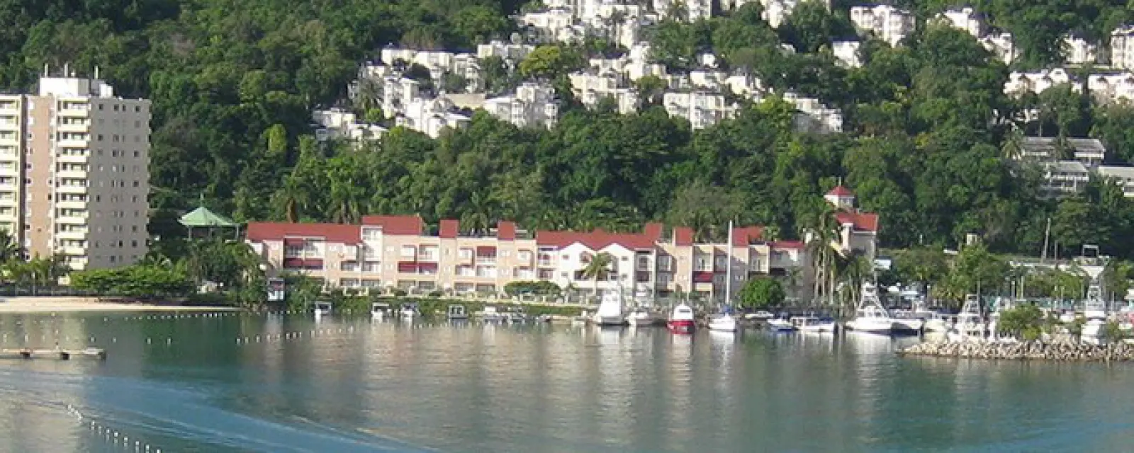 Jamaica — ảnh minh hoạ cho bài Jamaica: quốc tịch năm năm, diện huyết thống rộng tới đời ông bà, và quyền đi lại trong CARICOM
