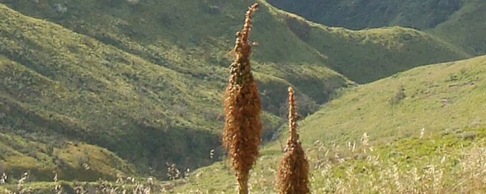Lesotho — ảnh minh hoạ cho bài Lesotho — Một trong ba nước trên thế giới bị bao trọn bởi đúng một nước khác