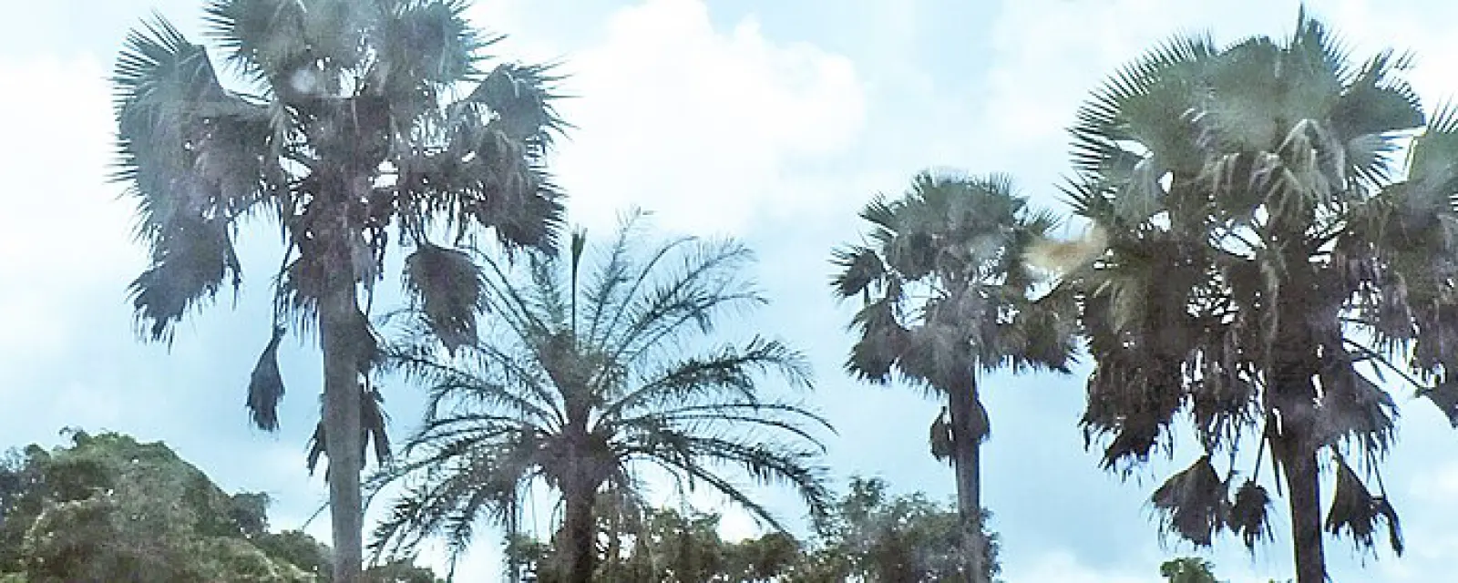 Nigeria — ảnh minh hoạ cho bài Nigeria — Nước đông dân nhất châu Phi, và nơi hai quốc tịch chỉ dành cho người sinh ra là công dân
