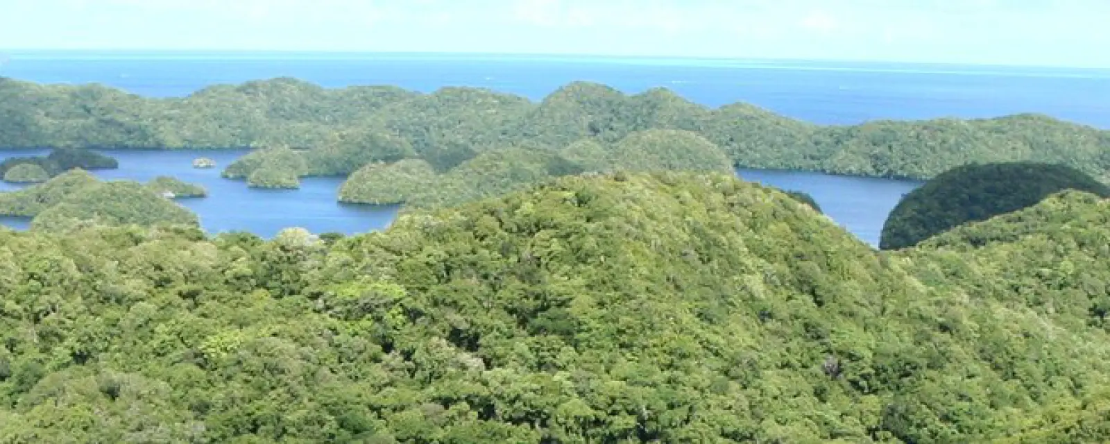 Palau — ảnh minh hoạ cho bài Palau: công dân được sống và làm việc ở Mỹ vô thời hạn — nhưng người ngoài gần như không vào được