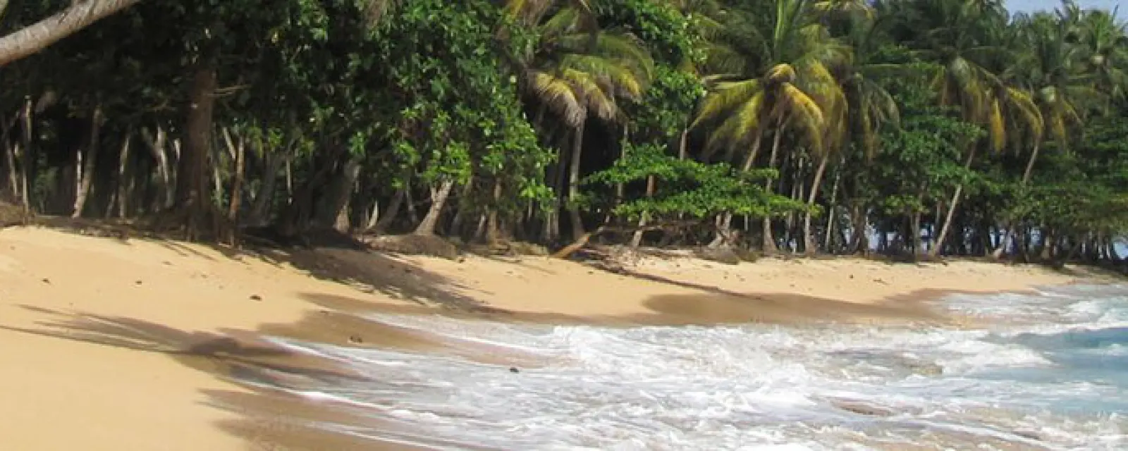 São Tomé và Príncipe — ảnh minh hoạ cho bài São Tomé và Príncipe — Đảo nhỏ không người ở cho tới khi bị đưa người tới trồng đường