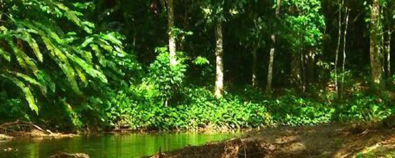 Trinidad và Tobago — ảnh minh hoạ cho bài Trinidad và Tobago: nước Caribe sống bằng dầu khí chứ không bằng du lịch, và nằm ngoài vành đai bão